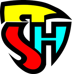 Výsledek obrázku pro logo sdh čms